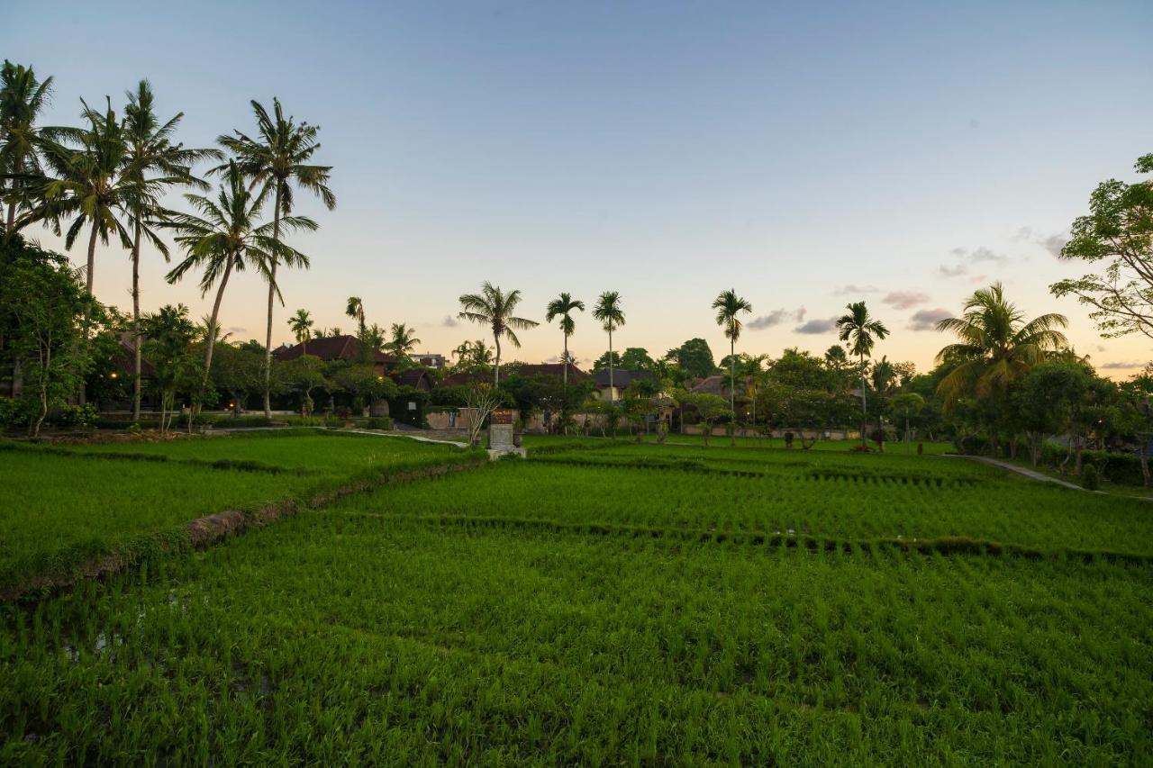Amatara Agung Raka Resort Ubud